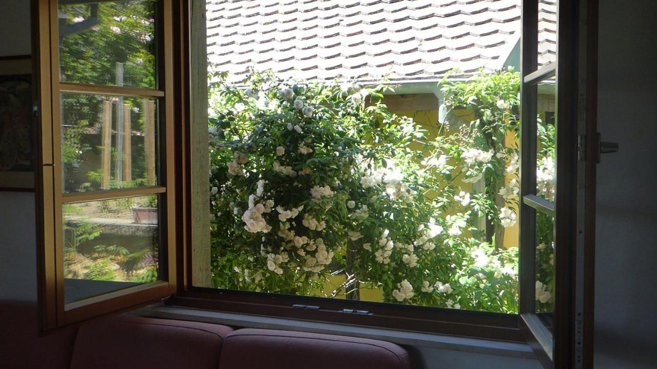 La Pomme De Pin Hotel Raedersdorf Luaran gambar
